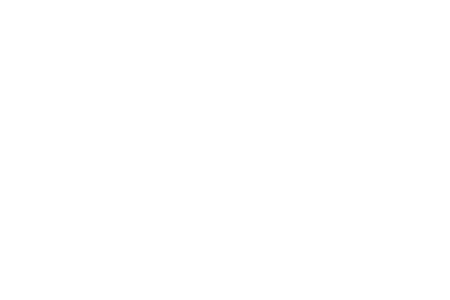 neg_Logo_playmobil